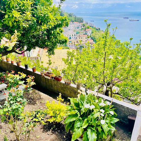 Ferienwohnung Borgo Virginia - Sea View In Amalfi Coast Vietri Exterior foto